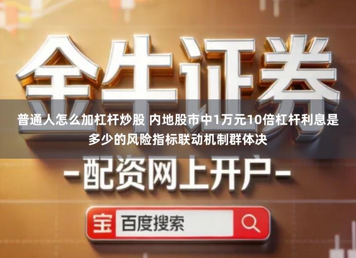 普通人怎么加杠杆炒股 内地股市中1万元10倍杠杆利息是多少的风险指标联动机制群体决