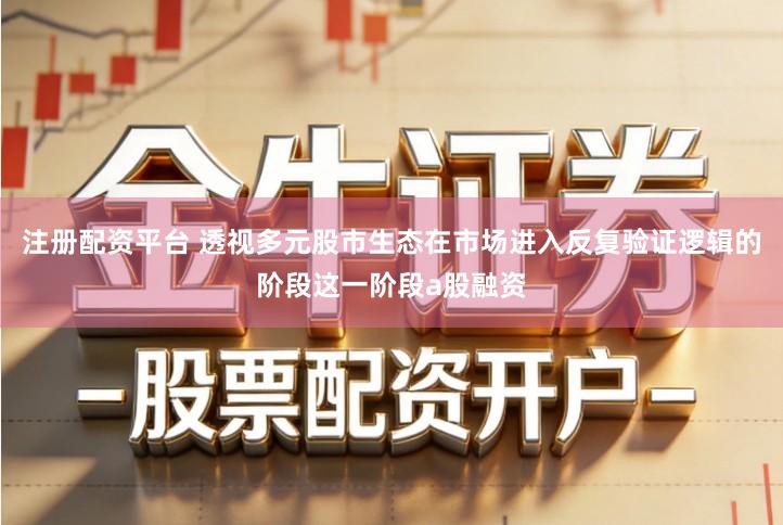 注册配资平台 透视多元股市生态在市场进入反复验证逻辑的阶段这一阶段a股融资